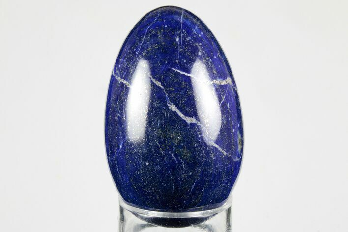 Polished Lapis Lazuli Egg - Pakistan #194514